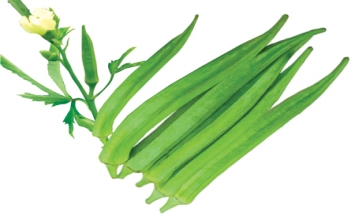 Đậu bắp - khắc tinh của bệnh tiểu đường